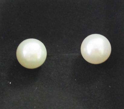 null Pair of white cultured pearl earrings on gold metal frame 