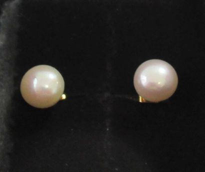 null Pair of cultured pearl earrings on gold metal frame 