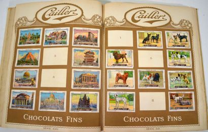 null PETER CAILLERS KOHLER Nestles
Reunion de deux albums de timbres semi complets.
(Quelques...