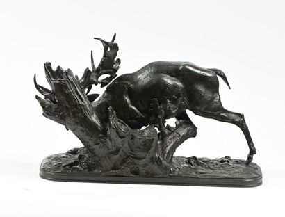 null André JACQUEMART (XIXth)
"Deer in moulting period"
Bronze print with black and...