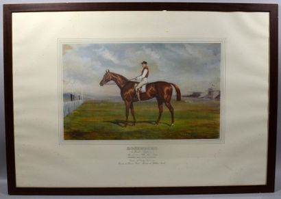 null After V.J. COTLISON 
"Portraits of Horses"
Suite of four reproductions of engravings...