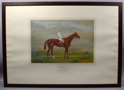 null D'après V.J. COTLISON 
"Portraits de chevaux"
Suite de quatre reproductions...