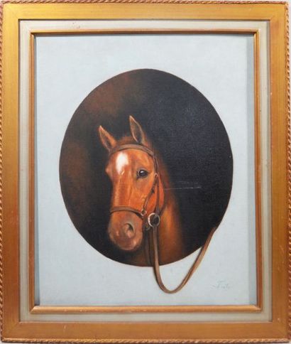 null FATI (XXth)
"Portrait of a horse in medallion"
Oil on canvas signed lower right
54,5...