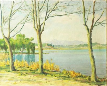 null Modern school "Lago de Banolas" Oil on canvas signed lower right (illegible)...