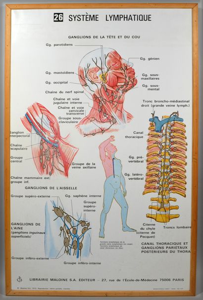 null MALOINE EDITION

Reunion of 32 color anatomy plates.

(Some stains)

96 x 61...