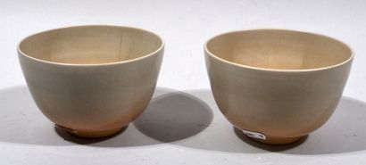 null Japan, 20th century

Rice bowl meeting covered in pinkish beige shades. Signed.

(Cooking...