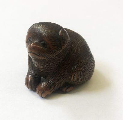 null Beautiful Netsuke well patinated in boxwood, from a funny sitting puppy with...