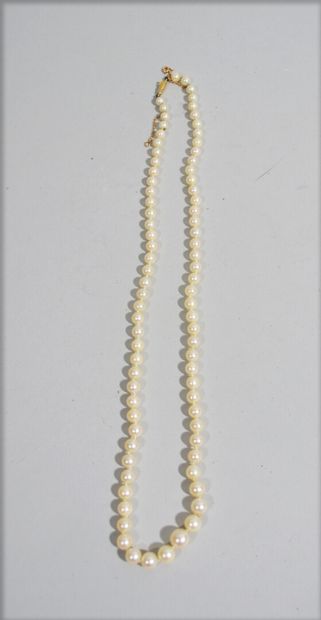 null Collier de perles de culture retenu par un fermoir en or jaune 18 K (750/oo)...