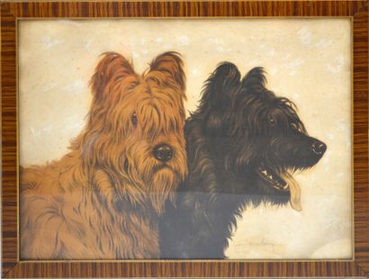 null Léon DANCHIN (1887-1938)

"Two heads of Briard."

Lithograph in colours signed...