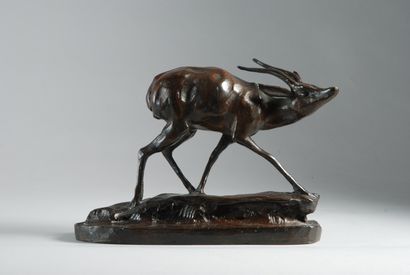 null Guido RIGHETTI (1875-1958)

ANTILOPE AUX AGUETS

Bronze à patine brun richement...