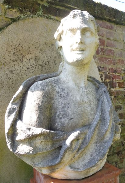 null BUSTE d'après l'ANTIQUE en marbre sculpté figurant le buste de DAVID 

Hauteur...