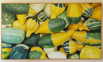 null MODERN SCHOOL

"Trompe-l'oeil with squash".

Oil on canvas unsigned

100 x 180...