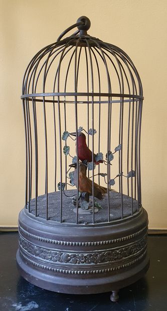 null BIRD CAGE forming an AUTOMATED BIRD WHISTLER in brass and polychrome feathers...