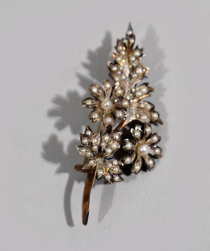null Silver brooch decorated with a flowering branch and probably fine pearls

Napoleon...