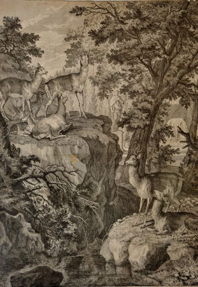 null Johann Elias RIDINGER (1698-1767) d'après,

« Les biches et les jeunes cerfs »...