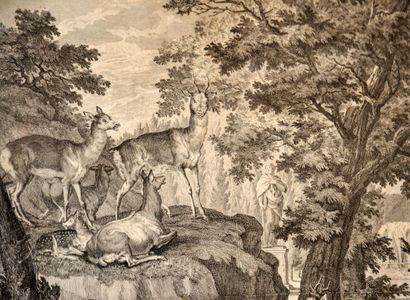null Johann Elias RIDINGER (1698-1767) d'après,

« Les biches et les jeunes cerfs »...