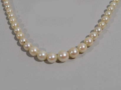 null NECKLACE OF Fancy cultured pearls with 18K yellow gold (750/oo) barrel clasp...