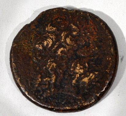 null EGYPTE. Ptolémée IV Philopator 221-204 avant J.C. 

Grand bronze 42mm. Poids...