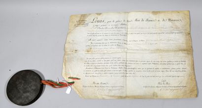 null Louis XVIII [Roi de France] 1823

Lettres de Déclaration de Naturalité accordées...