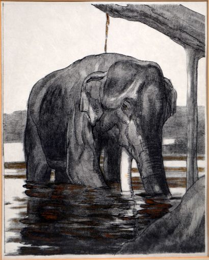 null Paul JOUVE (1878-1973)

"Eléphant" 

Gravure en noir et blanc sur papier signée...