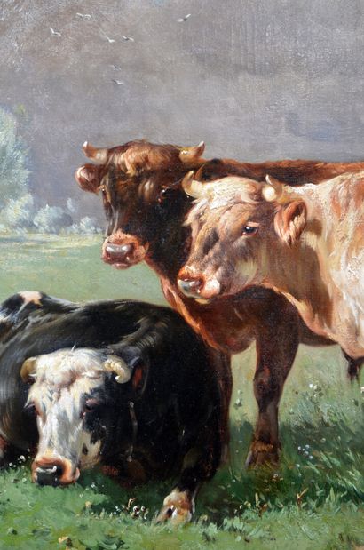 null Paul Henry SCHOUTEN (1860-1922)

"Vaches normandes au bord de la plage avant...