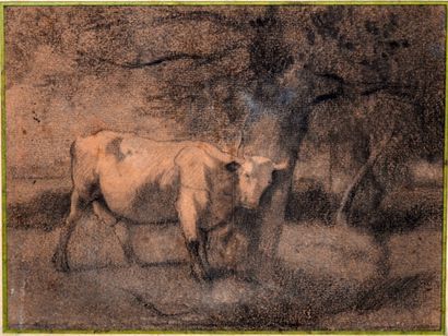 null Constant TROYON (1810-1865) attribué à 

"Vache de profil"

Dessin à la mine...