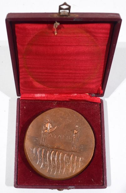 null Médaille en bronze « Energie électrique de la Côte d'Ivoire », signée H. NAVARRE,...