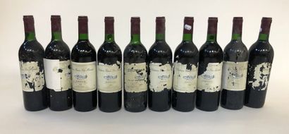 null 10 Bouteilles de Bordeaux Vieux La monde année 1995 

(étiquettes abimées)