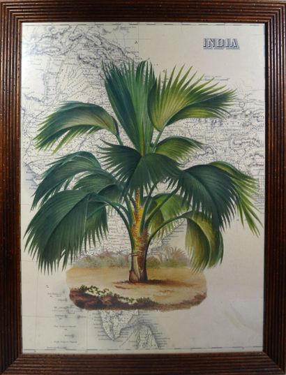 null Dans le goût de Thomas JEFFERYS

"Carte de l'Inde rehaussée d'un palmier"

Impression...