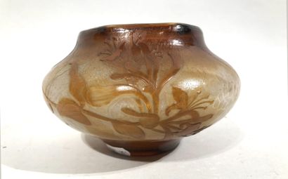 null Émile GALLE (1846-1904)


Vase à panse globulaire aplatie à décor dégagé à l'acide...