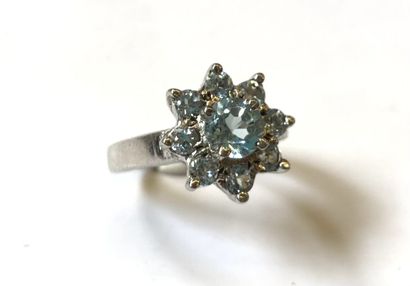 null BAGUE fleur en argent 925/1000e sertie de quartz bleu.

TDD : 53 

Poids brut...