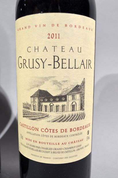 null 23 bouteilles de CHATEAU GRUSY-BELAIR Castillon Côtes de Bordeaux 2011