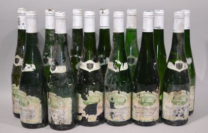 null 13 bouteilles de DOMAINE DES REBOURGERES Muscadet Roland Cormorais Pro

(Étiquettes...
