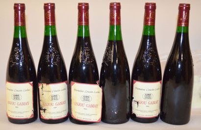null 6 bouteilles d'ANJOU GAMAY Domaine Cousin Leduc 1994 

(étiquettes déchirées...