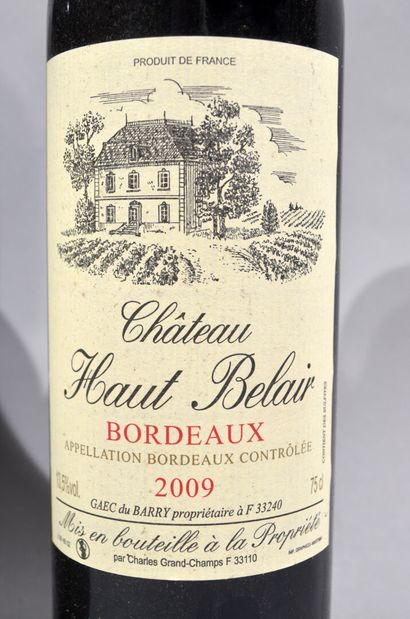 null 17 bouteilles de CHATEAU HAUT BELAIR Bordeaux 2009