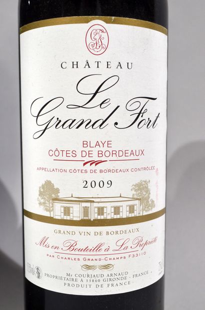 null 17 bouteilles de CHATEAU LE GRAND FORT Côtes de Bordeaux 2009