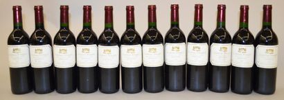 null 12 bouteilles de CHATEAU PESQUEY Bordeaux ABC 1997