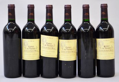 null 6 bouteilles de ESPRIT DES VIGNES Côtes de Saint-Mont Vieilles vignes 1996

(étiquettes...