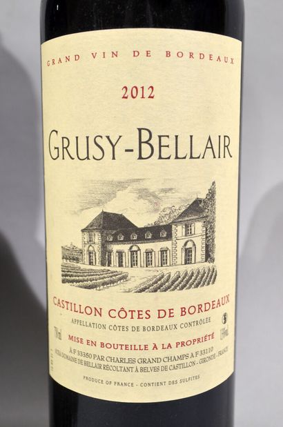 null 23 bouteilles de CHATEAU GRUSY-BELAIR Castillon Côtes de Bordeaux 2012