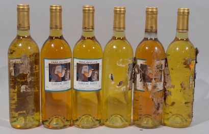 null 6 bouteilles de "FASCINATION" Gaillac doux Cave de técou 1997

(Étiquette a...