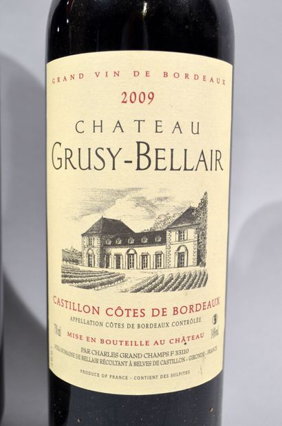 null 52 bouteilles de CHATEAU GRUSY-BELAIR Castillon Côtes de Bordeaux 2009