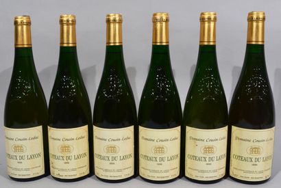 null 6 bouteilles de COTEAUX DU LAYON Domaine Cousin Leduc 1996