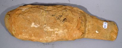 null Fossile de POISSON

Longueur : 34,5 cm
