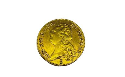null LOUIS XVI 1774-1793

Double-louis d'or au buste nu 1786 AA = Metz. (15,2 g)

A/...
