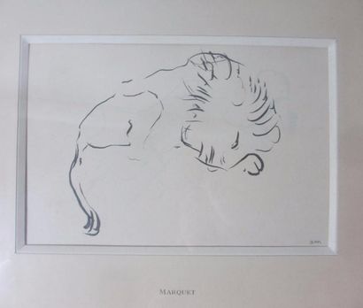 null Albert MARQUET (Bordeaux 1875 - Paris 1947) Le lion Plume et encre noire 18,5...