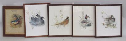 null PRAKOZ (XXe) "Oiseaux" Peinture sur feuilles de tabac signée en bas à droite...