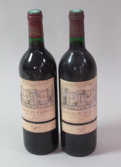 null 2 bouteilles de Château MARBUZET Saint Estèphe 1993 