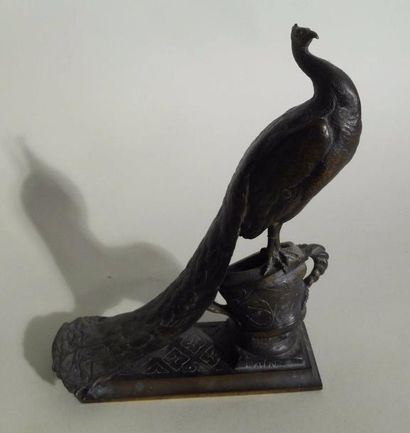 null Auguste CAIN (1821-1894) "Paon" Sujet en bronze à patine brun clair nuancé de...