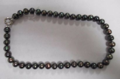 Collier de 43 perles noires de culture d'eau douce 9.5/10.5 mm Fermoir anneau ressort...