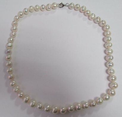 null Collier de perles de culture 6,5 mm 45 cm avec fermoir réglable 